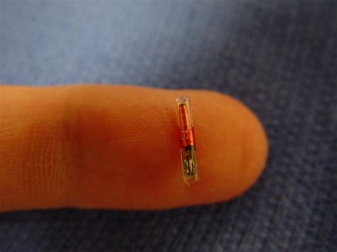 how chipped with rfid|rfid implants in the hand.